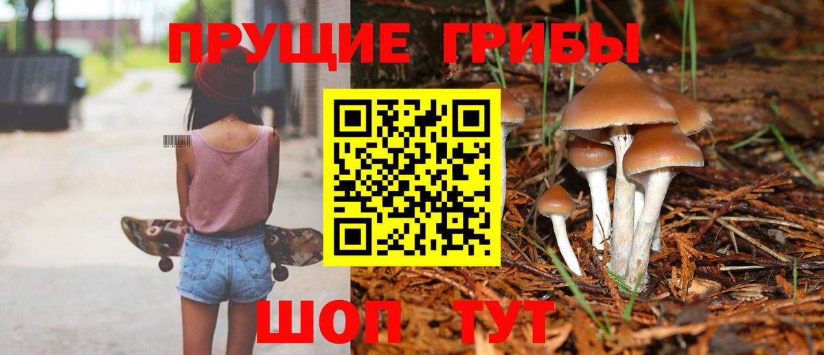 Псилоцибиновые грибы Magic Shrooms  Галлюциногенные грибы Psilocybe  Электросталь  магазин    Вход с VPN 
